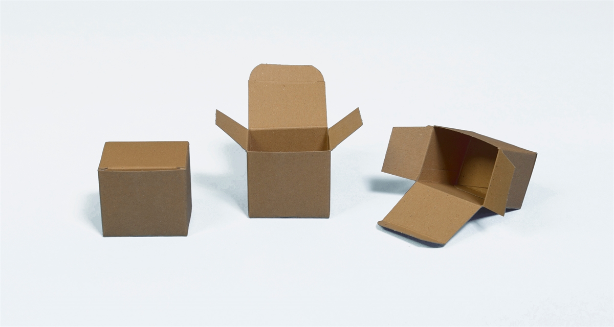 grens Assortiment Fotoelektrisch ZP dozen / Kleine doosjes | Goedkope verpakkingen | Boxes in Stock